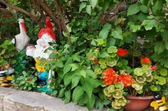 Гостевой дом «Кипарис»