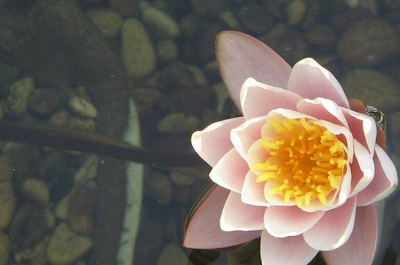 Гостевой дом «Вега»