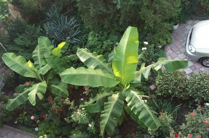 Гостевой дом «Вега»