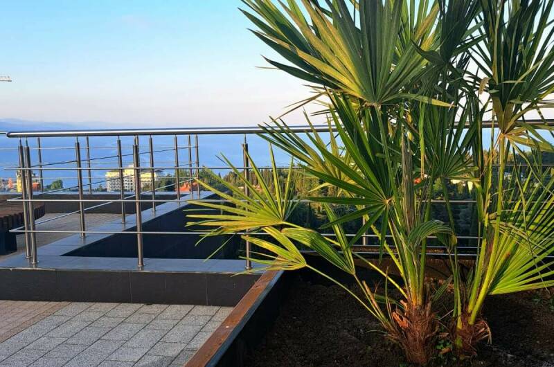 Апартаменты «Морская Звезда»