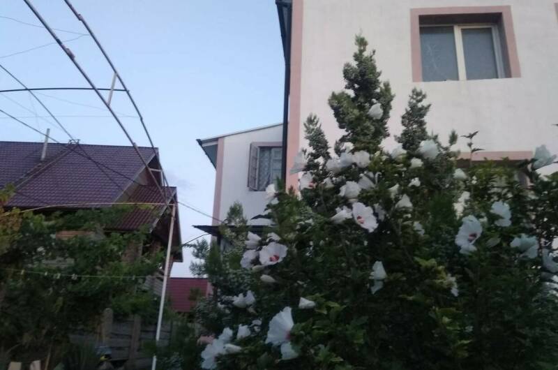 Гостевой дом «Александра»