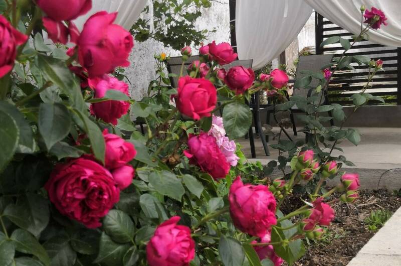 Дом для отпуска