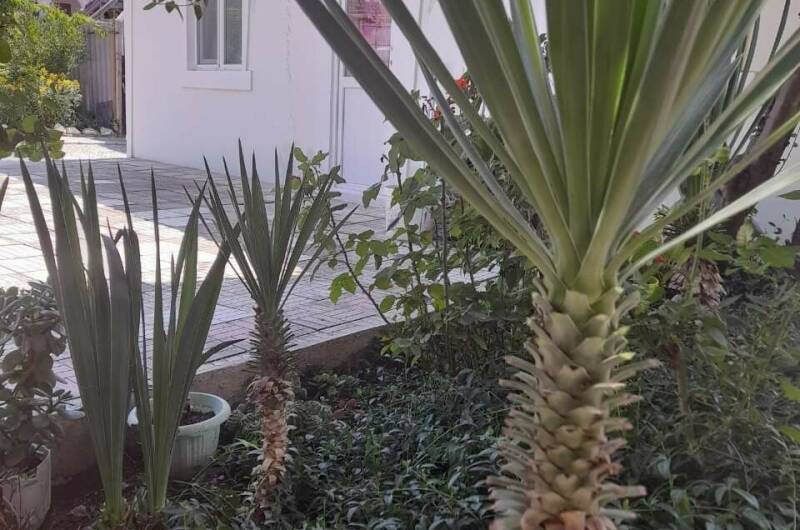 Частный сектор «У Татьяны»