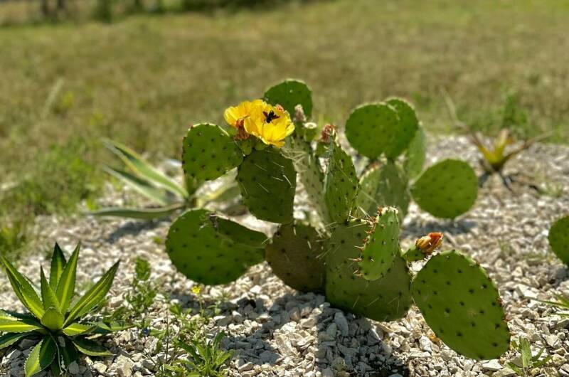 Гостевой дом «Эва»