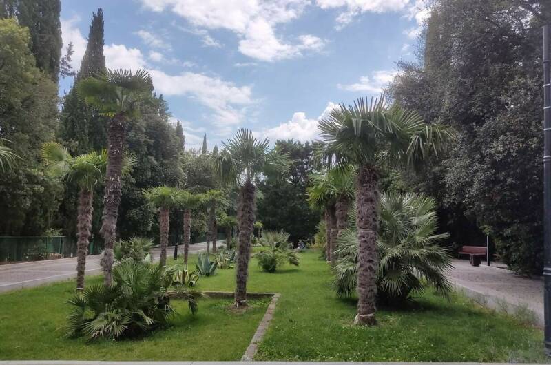 Апартамент «Люкс» в Приморском парке