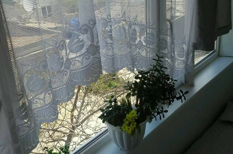 Трёхкомнатный дом под ключ