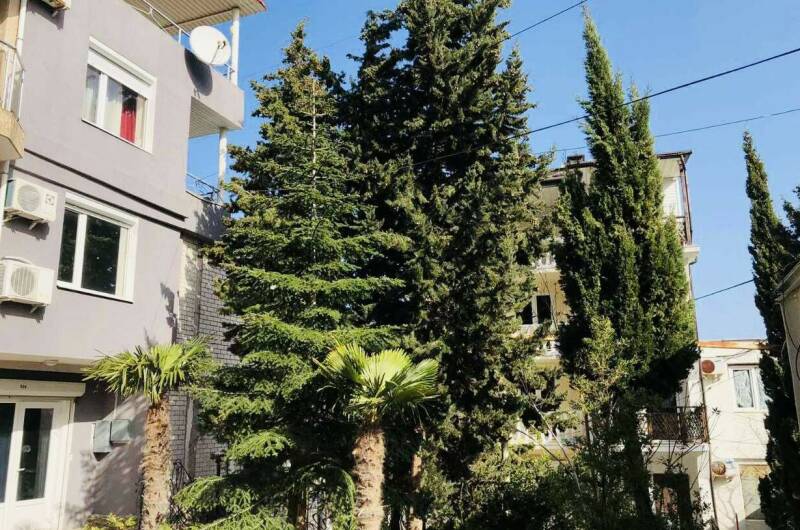 Гостевой дом «Лилия»