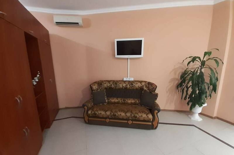 Однокомнатная квартира на Севастопольской