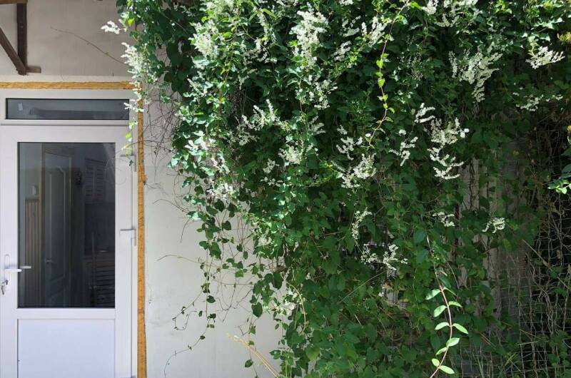 Квартира под ключ «Восточные сказки»