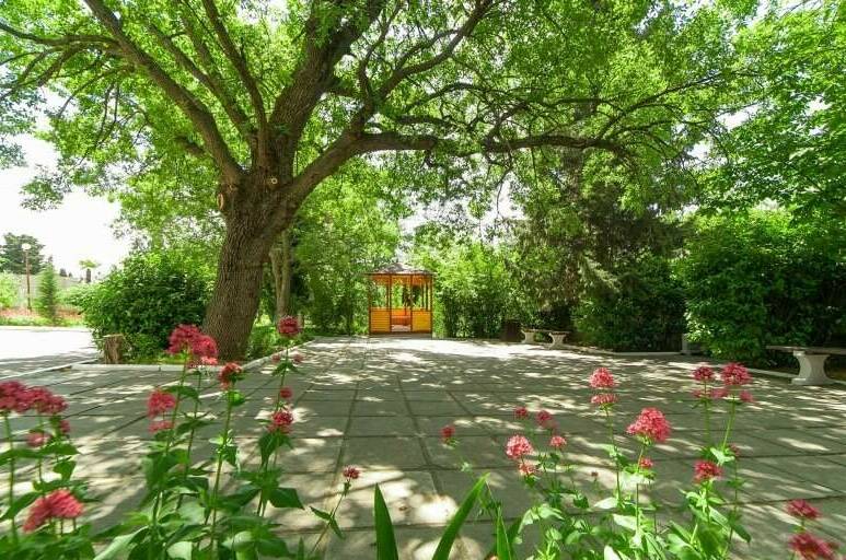 Пансионат «А. П. Чехов»