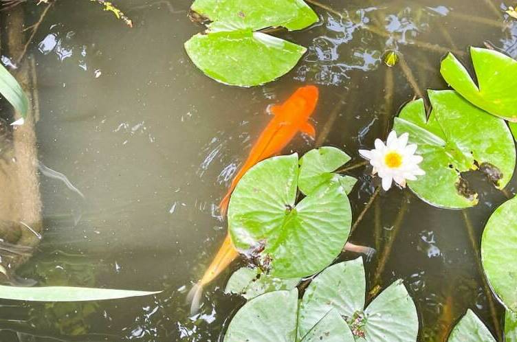 Гостевой дом «Волшебная лампа»