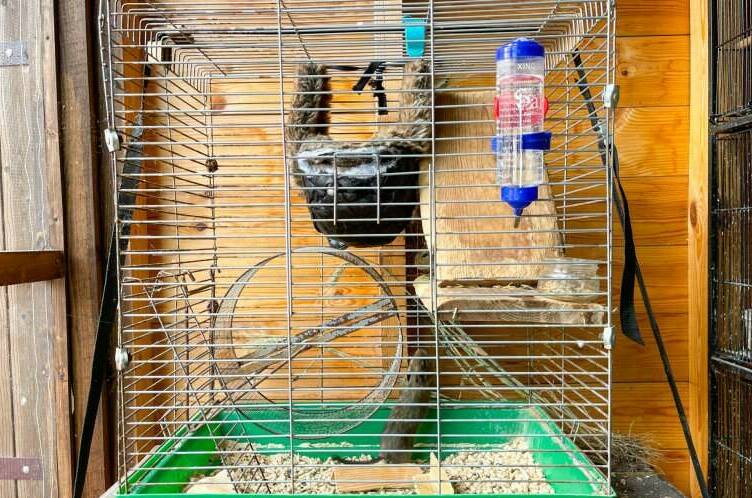 Гостевой дом «Волшебная лампа»