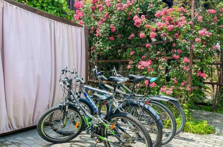 Гостевой дом «Волшебная лампа»