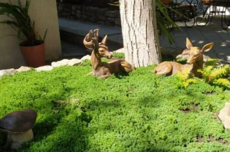 Гостевой дом «Домашний уют»