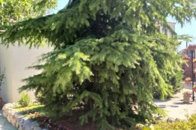 Гостевой дом «Домашний уют»