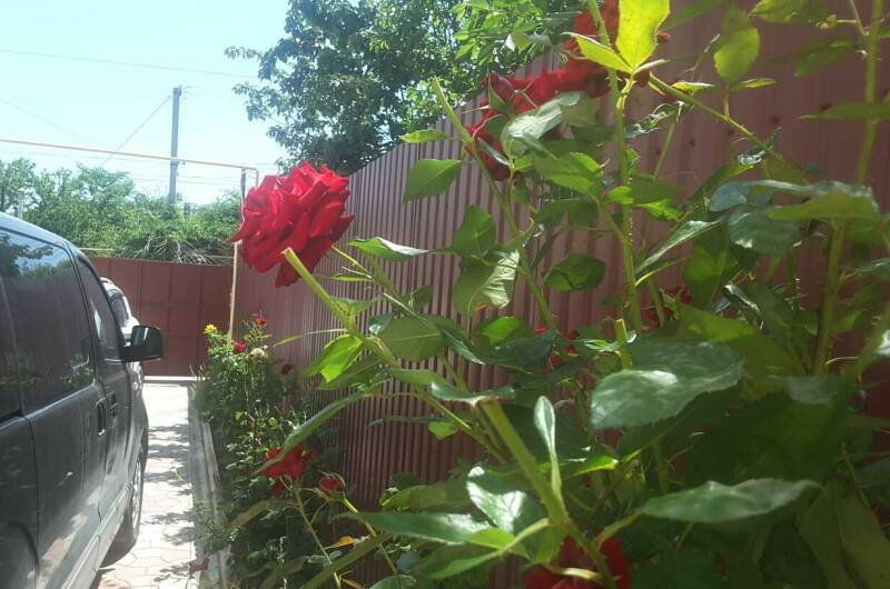 Гостевой дом «У Светланы»