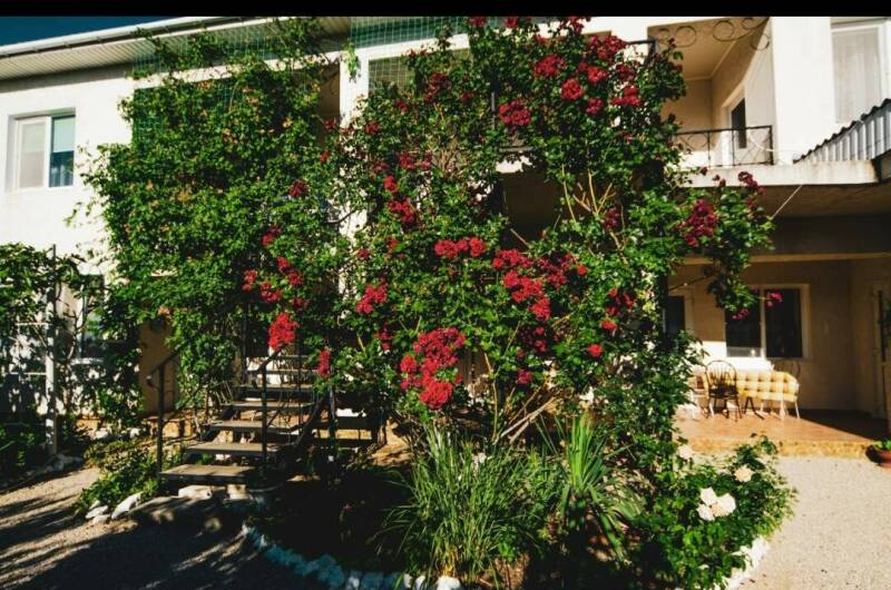 Гостевой дом «Medine»