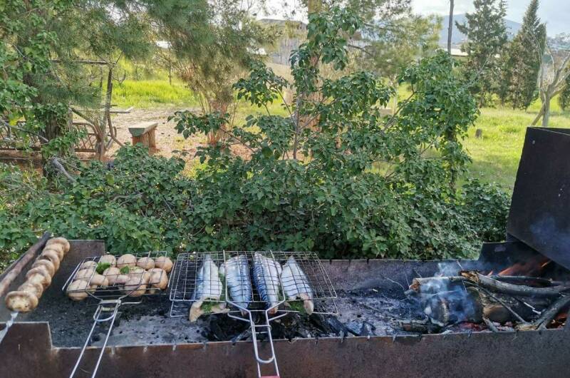 Гостевой дом «Eco botanica»