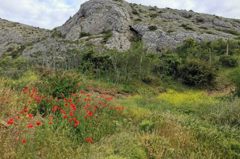 Гостевой дом «Eco botanica»