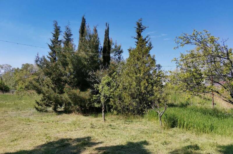 Гостевой дом «Eco botanica»