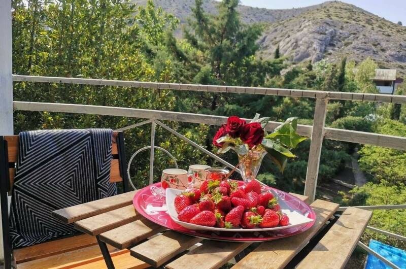 Гостевой дом «Eco botanica»