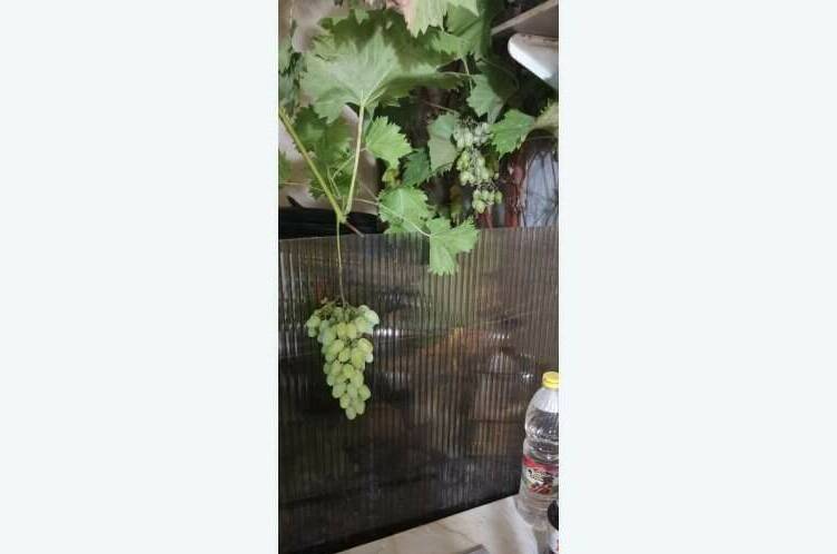 Гостевой дом «Семейный»