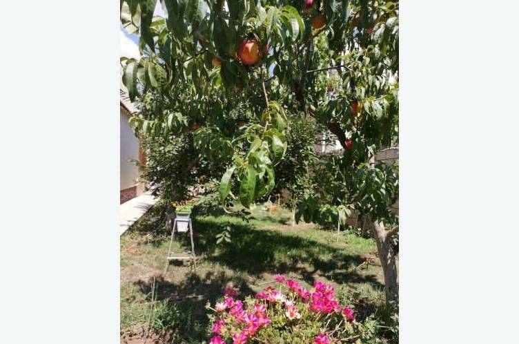 Гостевой дом «Семейный»