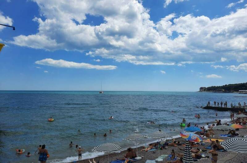 Апартаменты «Носорог»