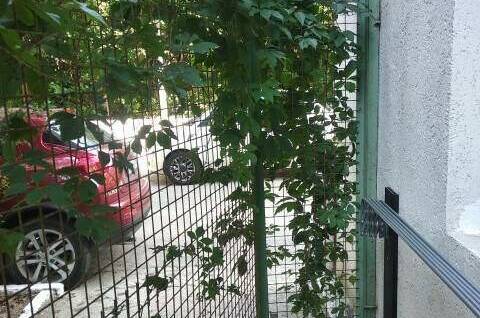 Апартаменты «Носорог»