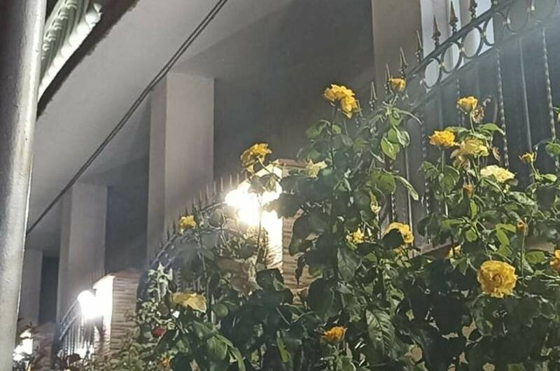 Гостевой дом «Купидон»