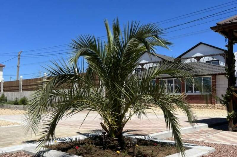 Мини-отель «Oasis Eco-House»