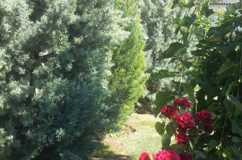 Гостевой дом «Aннушка»