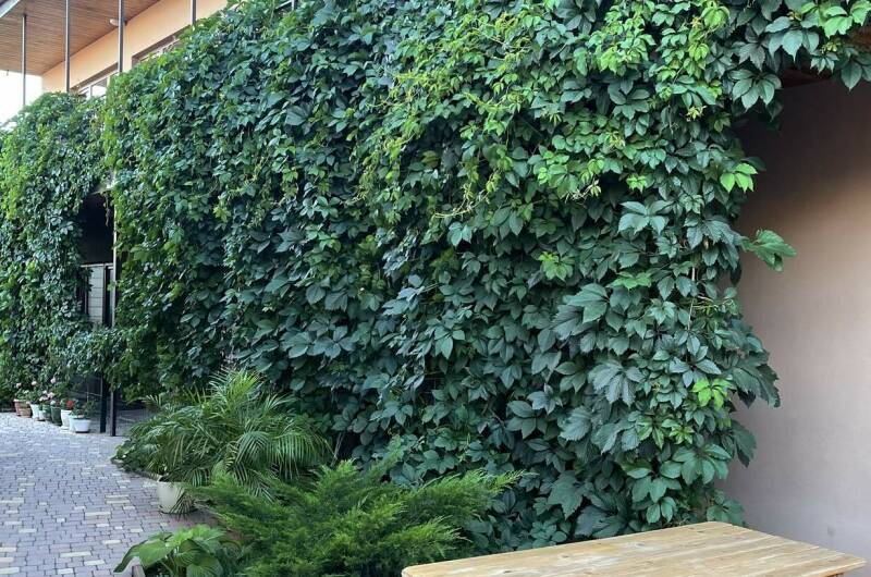 Гостевой дом «Бамбук»