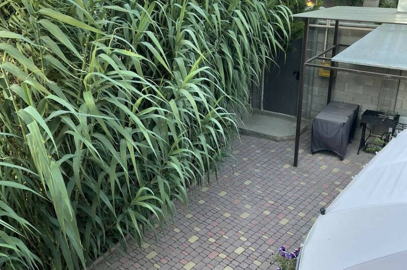 Гостевой дом «Бамбук»