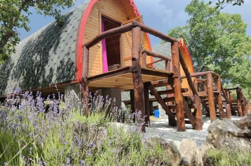 База отдыха «Деревня Хоббитов»