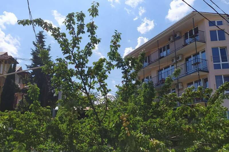 Гостиный дом «Добрый Гном»