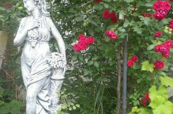 Гостевой дом «Виктория»