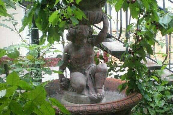 Гостевой дом «Виктория»