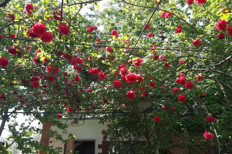 Гостевой дом «Виктория»