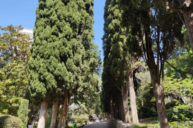 Апартаменты «Люкс» с видом на море и горы