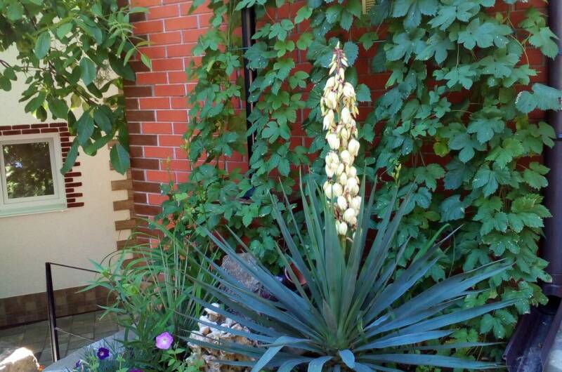 Гостевой дом «Мария»