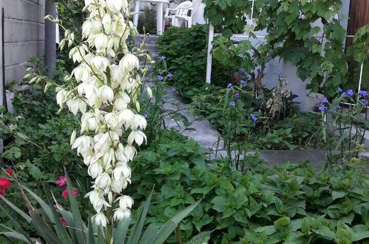 Гостевой дом «Марьяна»