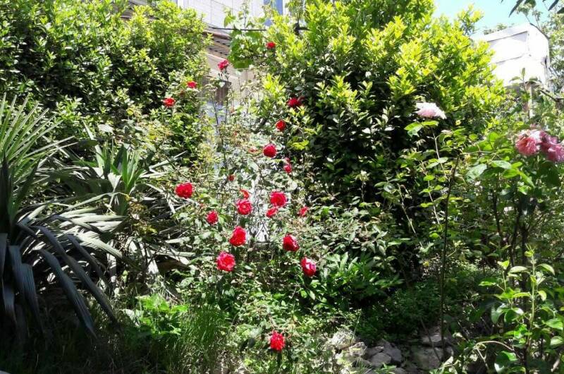 Гостевой дом «Марьяна»