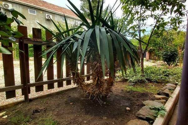 Гостевой дом «Атмосфера»