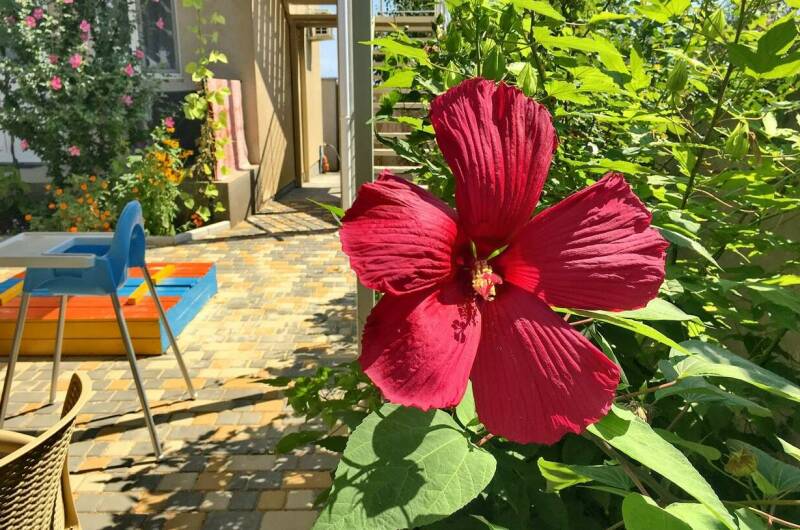 Частный сектор на Цветочной