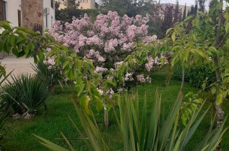 Гостевой дом «Sineva Del Sol»