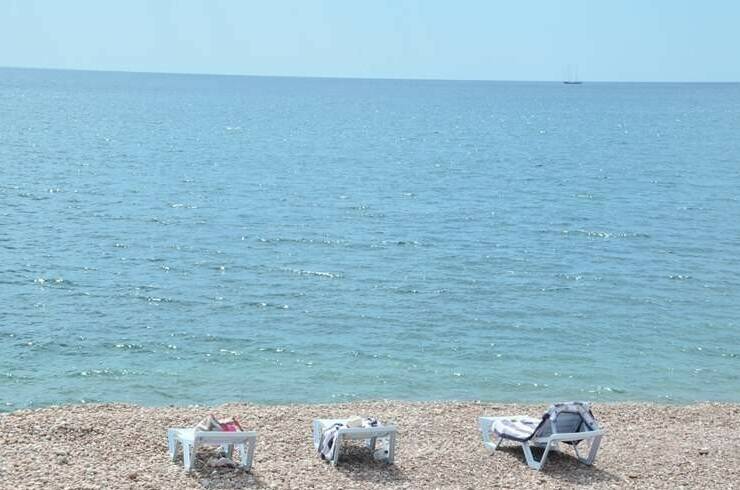 Фазенда «Виноград»