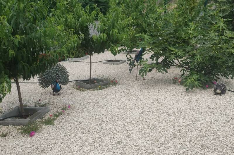 Апарт-отель «Баловень судьбы»