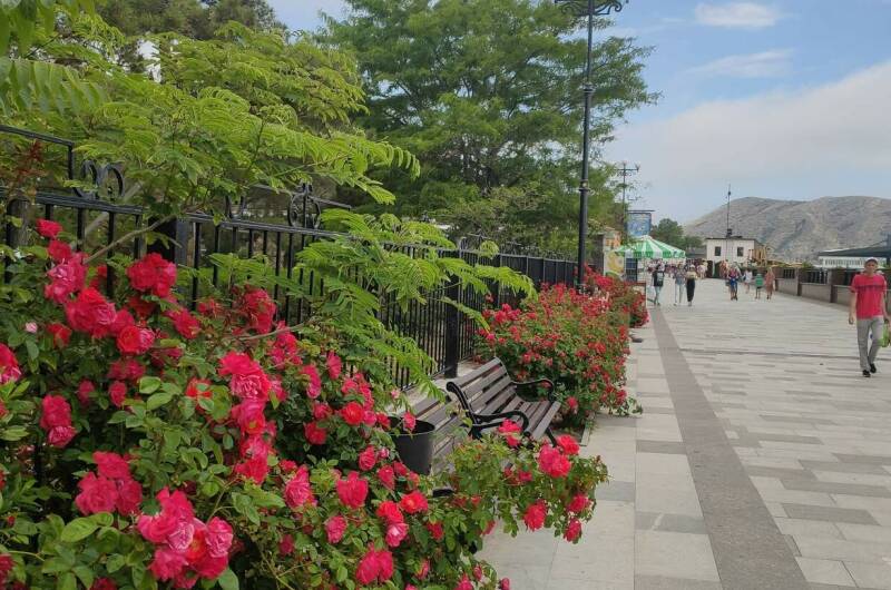 Апарт-отель «Баловень судьбы»