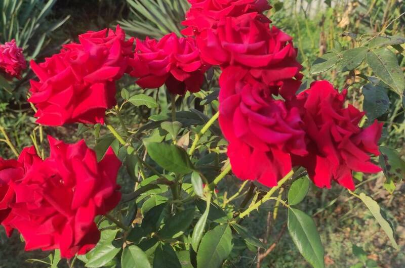 Частное домовладение «Райский берег»